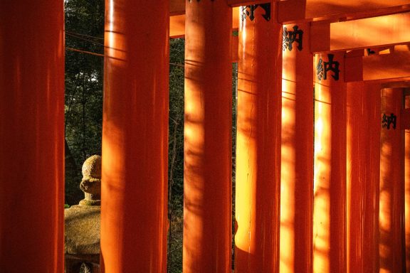 Row of vibrant orange torii gates with soft sunlight and shadows.